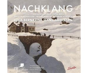 Hans Schaeuble Luca Bernard/Hans Adolfsen: Nachklang (CD) Album
