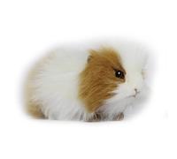 Hansa Brown Guinea Pig Realistico Simpatico Peluche Morbido e Soffice