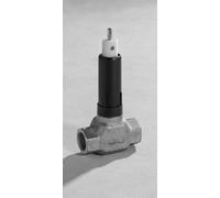 HANSA Parte superiore HANSA 0226 G3/4 DN20 Nero, 02260100