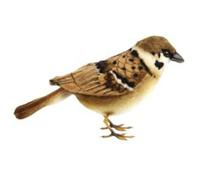 Hansa Realistico passero mattugia uccello morbido peluche 13 cm dai 3 anni in su