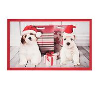 HANSE Home Printy-Zerbino per Interni, 45 x 75 cm, Lavabile e Resistente alle intemperie, Antiscivolo, per Ingresso e Esterni, Poliammide, Colore: Rosso, 45x75 cm