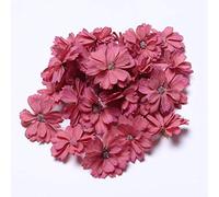 Hansel And Raul - Fiesta Tropical