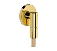 Hansgrohe 28882990 Uscita a Muro, Oro Lucido