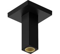 Hansgrohe braccio da soffitto nero 24338670