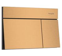 Hansgrohe Element E placca di comando per WC || 66003140