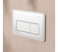 hansgrohe iFrame Original Q placca di scarico per WC, 66001450, iFrame Original Q [Placche di Scarico > Placche di Scarico per WC]