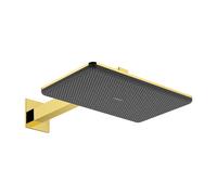 hansgrohe Raindance Alive Q set soffione doccia, 2 tipi di getto, 24550990, Raindance Alive Q oro [Rubinetteria Bagno > Soffioni Doccia]