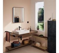 hansgrohe Xanuia Q lavabo à poser, avec trou pour robinet, avec trop-plein, poli, 600x480mm, blanc, 60243450, 60243450