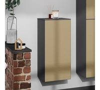 hansgrohe Xevolos E pensile, 1 anta, 54217390, Xevolos E [Mobili da Bagno > Mobili Complementari]