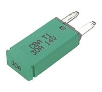 Hansor CBA1-3014 Fusibile Automatico Standard 30 A, Verde, 1 Pezzo