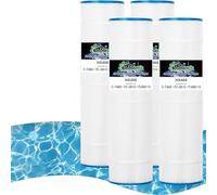 HANXER C-7468 - Cartuccia filtro di ricambio per piscine e spa, per PJAN115, CL460, Filbur FC-0810, R0554600, Jandy CV460, A0558000, XLS-705, Darlly 70852, confezione da 4