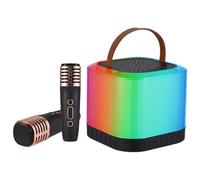 Hanzete Mini macchina per karaoke con microfono wireless e set di altoparlanti con 2 microfoni ricaricabili a LED, luce colorata, altoparlante per karaoke, feste di compleanno, desktop, fitness, set