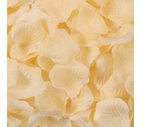 Haobase 2000 petali di rosa artificiali per San Valentino, proposta, matrimonio, decorazione da tavola (champagne)