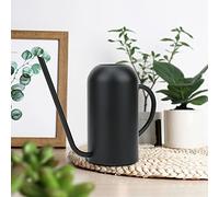 Haofy Annaffiatoio in Acciaio Inossidabile con Beccuccio Lungo da 1,5 L, Design Ergonomico per Un Facile Controllo, Ideale per Piante da Giardino e Uso Interno, 24x20 Cm, capacità 1500 Ml