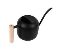 Haofy Annaffiatoio per Interni, Acciaio Inossidabile da 1,2 Litri, Beccuccio Lungo con Manico in Legno, Opaco