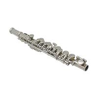 Haofy Kit Piccolo, Piccolo Do Placcato Argento con Design Staccabile, Flauto a 16 Fori, Bocchino Quadrato, Set di Strumenti per la Pulizia, per Studenti Principianti Orchestra di Banda (SILVER)