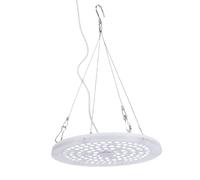 Haofy Lampada per Coltivazione di Piante Bianca 120 Perline 8W, Lampada da Coltivazione a Sospensione a Spettro Completo con Timer 2H 4H 8H, 4 Livelli Dimmerabili per Bonsai da Interno