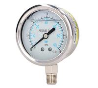 Haofy Manometro Dell'acqua in Acciaio Inossidabile Manometro Dell'olio Facile da Installare per il Settore Metallurgico Connessione Inferiore NPT da 1/4 Pollice (0~6 MPa)