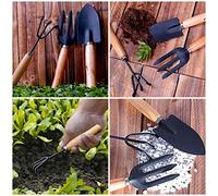 Haofy Mini Set di Attrezzi da Giardino, 3 Pezzi in Acciaio Inossidabile con Manico in Legno, Kit da Giardinaggio per Piante Grasse per Interni (Colore assortito)