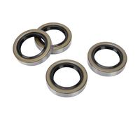 Haofy SEIL DI FAT PENSIONE PENDANTI PERDIZIONI PERMAZIONE PER MOTORI, BARCHI 4PCS ID KIT 1.719in X o 2.565IN DEXTER 010-019-00 10-19