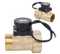 Haofy Sensore di Flusso della Pompa Dell'acqua Pressostato Elettronico in Ottone Efficiente per la Funzione di Controllo Automatico della Pompa Dell'acqua per Uso Domestico HT-802 da 1,5 Pollici 220 V
