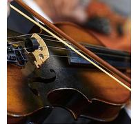 Haofy Set di Corde per Violino, Kit di Accessori per Violino con Anima in Acciaio Inossidabile 4 in 1 con Ponte in Legno d'acero Panno per Pulizia Silenziatore in Gomma per la Sostituzione Pratica