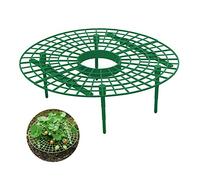 Haofy Supporto per Piante di Fragole Design Compatto Montaggio Facile Materiale PE Resistente 11,81 Pollici per Giardinieri Domestici Uso Interno all'aperto Massimizza Lo Spazio Flusso d'Aria