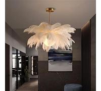 HAOJIazx Lampadario di piume bianche Lampade a sospensione moderne a sospensione Lampada da soffitto a semi-incasso for camera da letto Soggiorno Sala da pranzo (25,5 '') 11(23.5'')