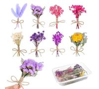 HAOMEEDUO 8 Pezzi Mini Bouquets de Fleurs Naturelles Vraies Fleurs Presse Séchées Pile Séchées Décoratives Petit Bouquet de Fleurs Séchées Pile Séchées Pile Séchées Scrapbooking, fai da te