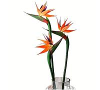 HAOSHICS 3 fiori artificiali di uccello del paradiso, Strelitzia, finta seta, per casa, ufficio, matrimonio, tavolo, centrotavola, decorazione