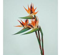 HAOSHICS 3 fiori artificiali di uccello del paradiso Strelitzia in gomma Strelitzia 61 cm a stelo lungo, adatti per fai da te, decorazioni per la casa, feste, decorazioni autunnali (3 pezzi,