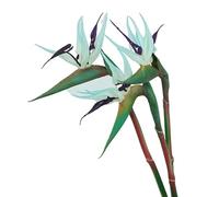 HAOSHICS 3 fiori artificiali per uccelli celesti, finti uccelli del paradiso Strelitzia, piante in finta seta, per casa, ufficio, matrimonio, decorazione Centerpeice (piccolo, blu)