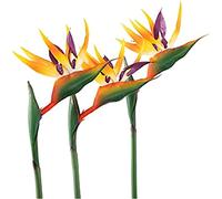 HAOSHICS 3 fiori artificiali per uccelli celesti, finti uccelli del paradiso Strelitzia, piante in finta seta, per casa, ufficio, matrimonio, decorazione Centerpeice (grande, giallo)