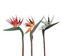 HAOSHICS 3 fiori artificiali per uccelli celesti, finti uccelli del paradiso Strelitzia, piante in finta seta, per casa, ufficio, matrimonio, decorazione Centerpeice (piccolo, 3 colori)