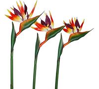 HAOSHICS 3 fiori artificiali per uccelli celesti, finti uccelli del paradiso Strelitzia, piante in finta seta, per casa, ufficio, matrimonio, decorazione Centerpeice (grande, arancione)