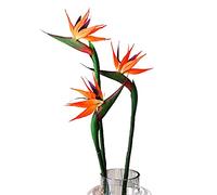 HAOSHICS 6 fiori artificiali di uccello del paradiso, Strelitzia finta seta, per casa, ufficio, matrimonio, tavolo, centrotavola (arancione, piccolo)