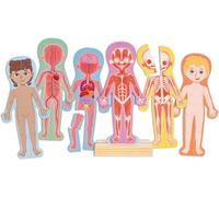 Hape Puzzle Magnetico Del Corpo Umano - Set di Puzzle Tematici per Bambini, Gioco di Logica e Sviluppo delle Abilità Motorie