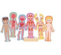 Hape Puzzle Magnetico Del Corpo Umano - Set di Puzzle Tematici per Bambini, Gioco di Logica e Sviluppo delle Abilità Motorie
