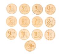 HAPINARY 13pezzi Dischi in Per Tappe Mensili Per Schede Di Animali Cartelli in Per Preziosi