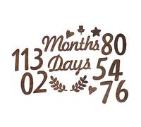 HAPINARY 1set Cartelli Legno Per Mensili Decorazioni Per Shower e Feste Di Compleanno Ritratti Memorabili Per Ogni Mese Del Tuo Design Sicuro Con Liscio Riutilizzabili e Facili Da Abbinare