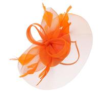 HAPINARY Cappello Da Cerimonia Per Donna Fascia in Rete Per Chioma Copricapo Fascinator Elegante Accessori Per Chioma Da Tea Party Stile Matrimonio Banchetto