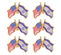 HAPINARY Confezione da 6 Spille Commemorative in Lega di Zinco Resistenti ai Graffi, per Presentazioni su Relazioni Usa-israele e Cerimonie Diplomatiche