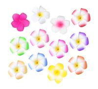 HAPINARY Fermaglio Per Chioma Plumeria Fiore Per Chioma Donna Pezzi Vari Colori Occasioni Acconciature