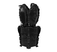 HAPINARY Set Da 5 Pezzi Spazzola Per Chioma Vintage Con Pettine, Spazzola Districante Piatta, Portaspazzole Nero Con Scatola Organizer Per Cosmetici e Gioielli, Adatto a Tutti i Tipi Di Chioma