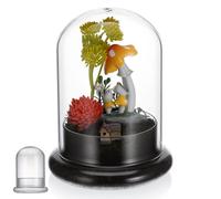 HAPINARY Terrarium in Vetro per Piante Grasse e Muschio Design a Superficie Liscia e Resistenza alla Corrosione, per Living Room e Progetti DIY