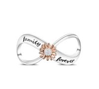 Hapour Infinity Charms adatto per Pandora Charms Bracciali Argento Sterling 925 Fascino eterno Famiglia per sempre Festa della mamma Gioielli Regalo per le donne