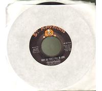 HAPPENINGS - why do fools fall in love / when the summer is through