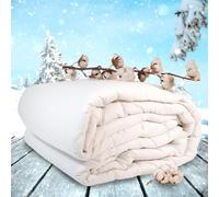Happidea Piumino Anallergico, Rivestimento in Puro Cotone Con Imbottitura Morbida Anallergica, Made in Italy (Invernale - 300Gr, Matrimoniale - 250x200 cm)