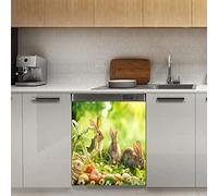 Happy Easter Bunny - Calamita per lavastoviglie, motivo margherita a molla magnetica per decorazione per frigorifero, cucina, porta, 58,4 x 66 cm