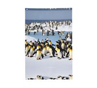 Happy Penguin Vivid Color Flag 0,6 x 0,9 m per esterni bandiere striscioni con occhielli poliestere premium